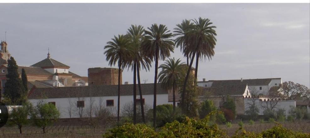 Apartamento Turistico Damajuana Parking Free Espartinas Exterior foto